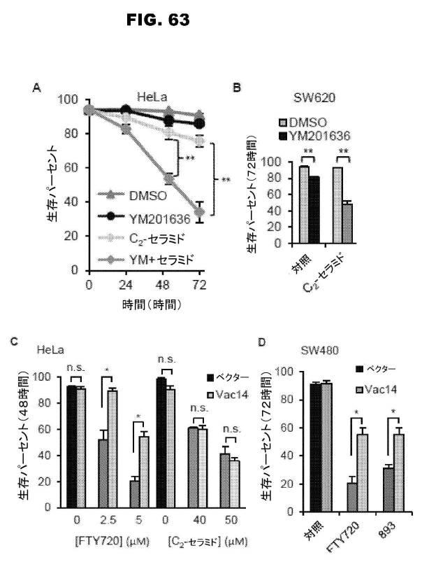 6853539-合成スフィンゴ脂質様分子、薬物、これらの合成方法、および処置方法 図000109