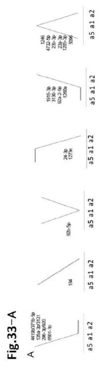 6954682-ヒト機能性角膜内皮細胞およびその応用 図000109