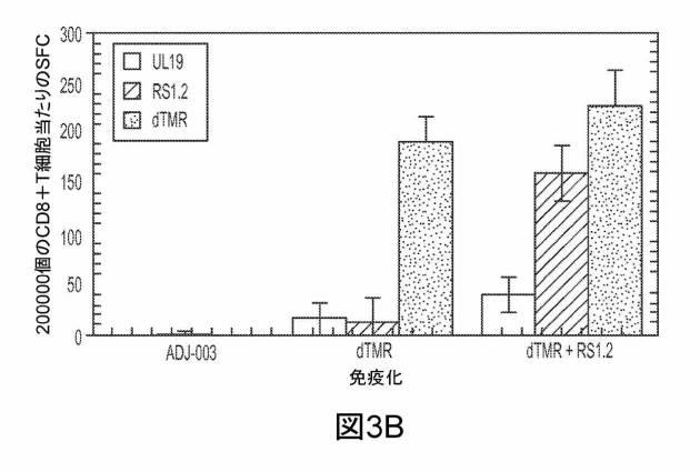 6199878-単純ヘルペスウイルス２型に対する核酸ワクチン：免疫応答を誘発する組成物及び方法 図000110