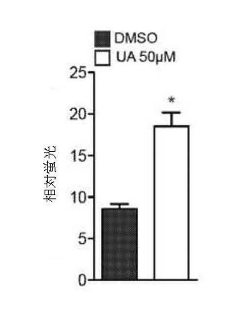 6422163-ウロリチンまたはその前駆体の投与によるオートファジーの増強または寿命の延長 図000110