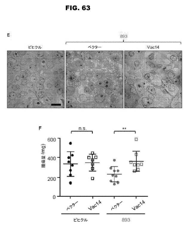 6853539-合成スフィンゴ脂質様分子、薬物、これらの合成方法、および処置方法 図000110