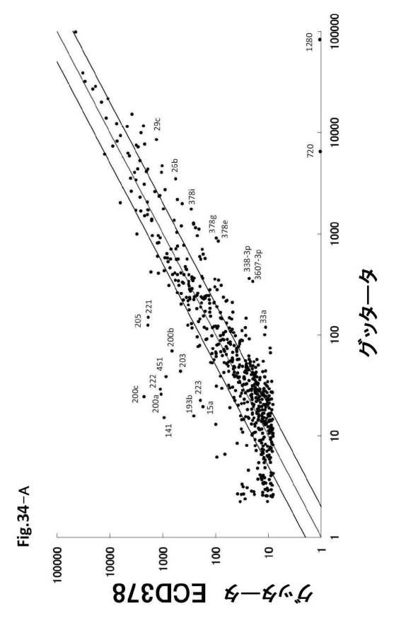 6954682-ヒト機能性角膜内皮細胞およびその応用 図000111