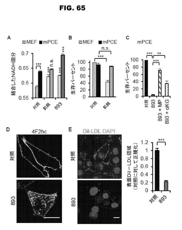 6853539-合成スフィンゴ脂質様分子、薬物、これらの合成方法、および処置方法 図000112