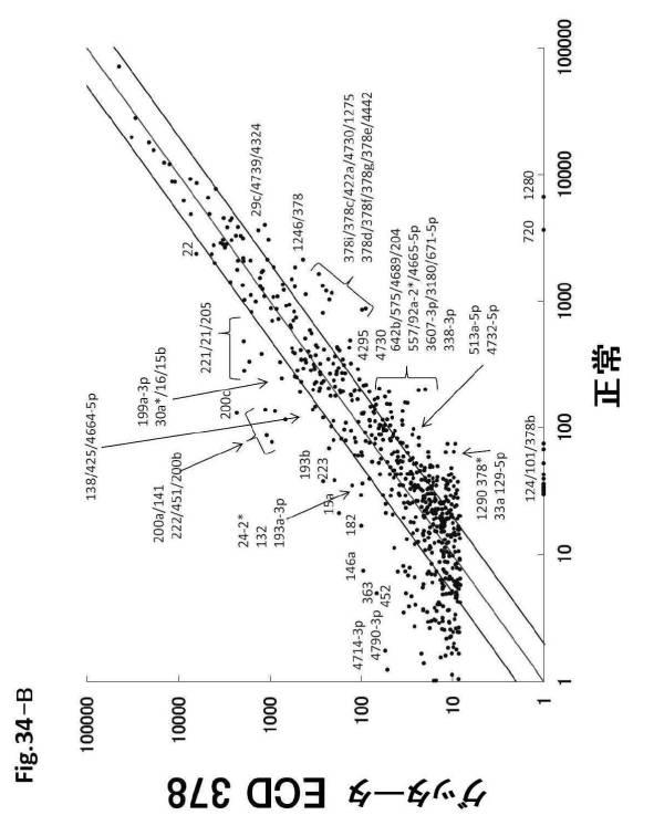 6954682-ヒト機能性角膜内皮細胞およびその応用 図000112