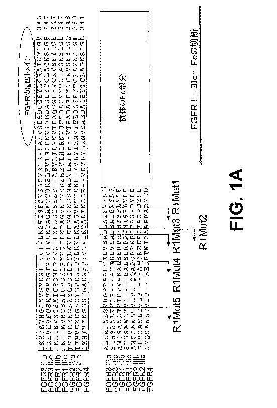 6110091-ＦＧＦＲ融合タンパク質によって疾患を治療するための組成物および方法 図000113
