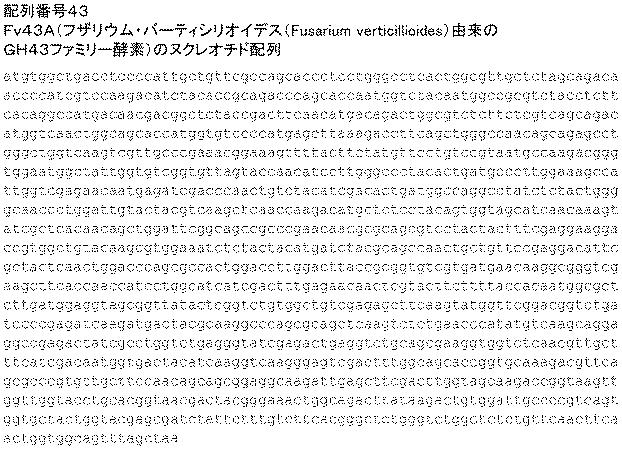 6290626-糖化プロセスにおける粘度を低下させる方法 図000113