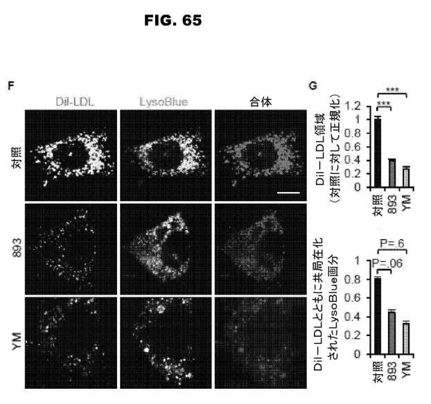 6853539-合成スフィンゴ脂質様分子、薬物、これらの合成方法、および処置方法 図000113