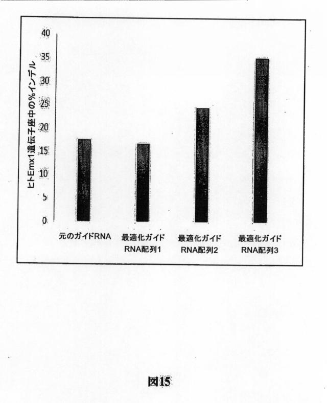 6203879-配列操作のための系、方法および最適化ガイド組成物のエンジニアリング 図000114