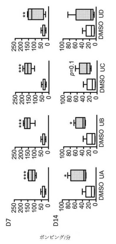 6422163-ウロリチンまたはその前駆体の投与によるオートファジーの増強または寿命の延長 図000114