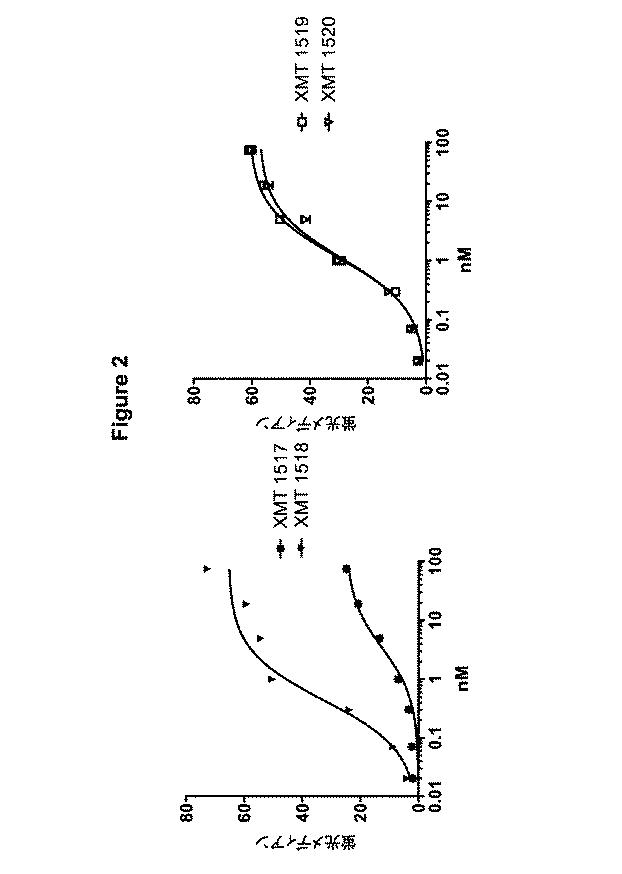 6853042-ＨＥＲ２エピトープに対するモノクローナル抗体及びその使用法 図000114
