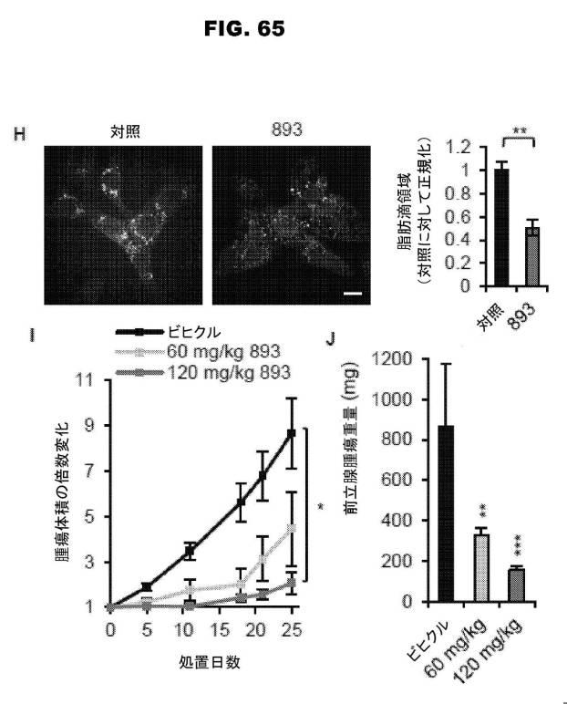 6853539-合成スフィンゴ脂質様分子、薬物、これらの合成方法、および処置方法 図000114