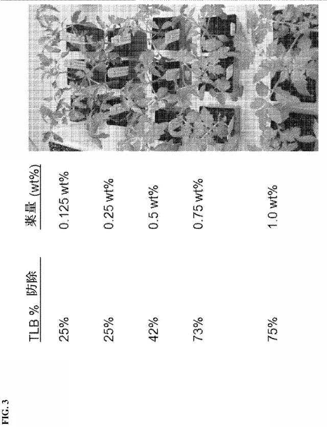 6670254-植物における菌類病及び細菌病を防除するための組成物及び方法 図000115