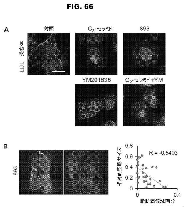 6853539-合成スフィンゴ脂質様分子、薬物、これらの合成方法、および処置方法 図000115