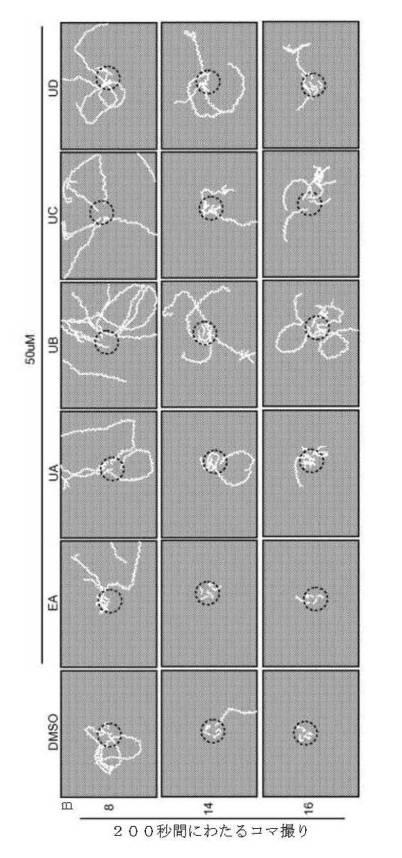 6422163-ウロリチンまたはその前駆体の投与によるオートファジーの増強または寿命の延長 図000116