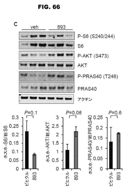 6853539-合成スフィンゴ脂質様分子、薬物、これらの合成方法、および処置方法 図000116