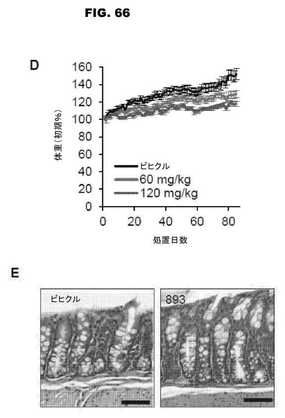 6853539-合成スフィンゴ脂質様分子、薬物、これらの合成方法、および処置方法 図000117