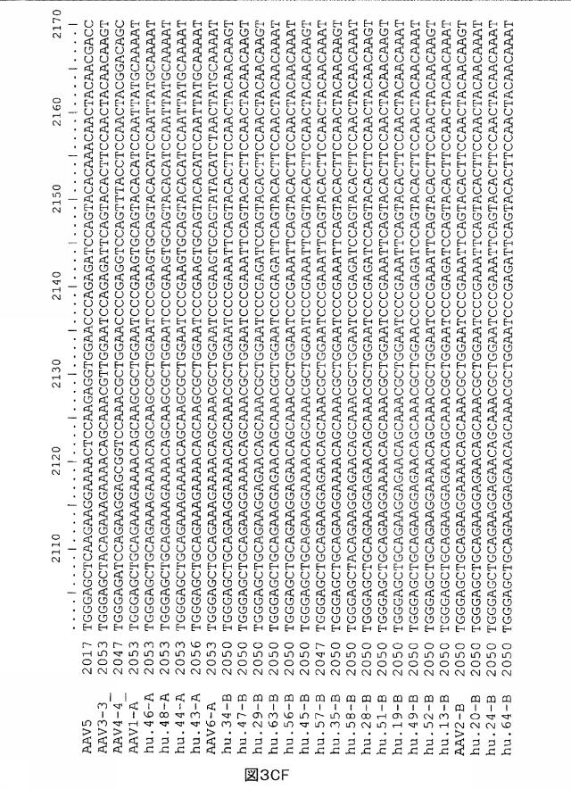 5797397-アデノ随伴ウイルス（ＡＡＶ）の同源系統群（クレイド）、配列、それらを含有するベクターおよびそれらの用途 図000120