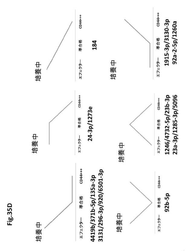 6954682-ヒト機能性角膜内皮細胞およびその応用 図000121