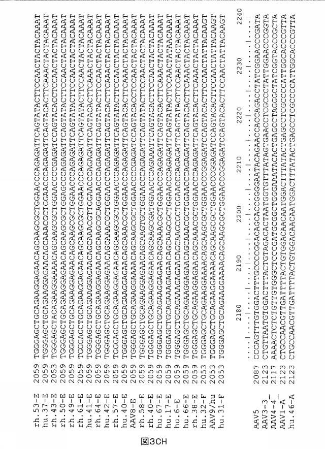 5797397-アデノ随伴ウイルス（ＡＡＶ）の同源系統群（クレイド）、配列、それらを含有するベクターおよびそれらの用途 図000122