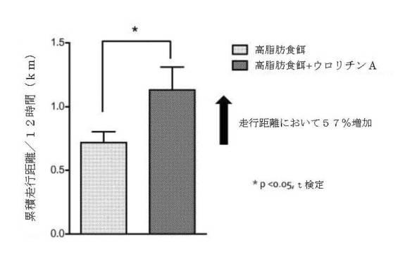 6422163-ウロリチンまたはその前駆体の投与によるオートファジーの増強または寿命の延長 図000124