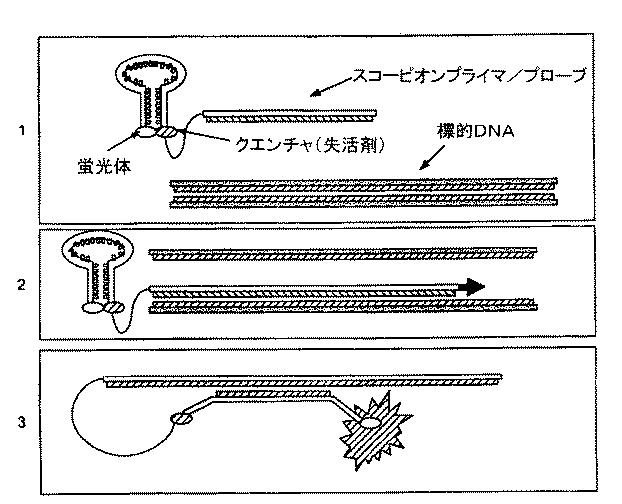 6388891-ヒータ基体及びヒータユニット 図000125