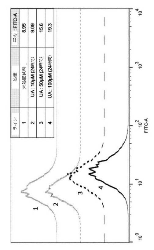 6422163-ウロリチンまたはその前駆体の投与によるオートファジーの増強または寿命の延長 図000128