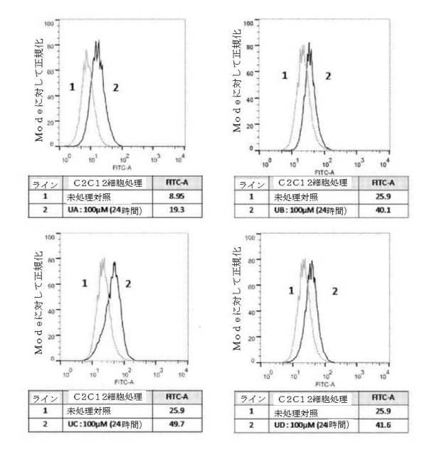 6422163-ウロリチンまたはその前駆体の投与によるオートファジーの増強または寿命の延長 図000129