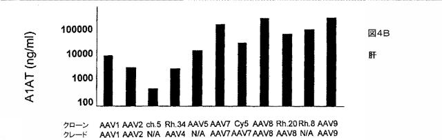 5797397-アデノ随伴ウイルス（ＡＡＶ）の同源系統群（クレイド）、配列、それらを含有するベクターおよびそれらの用途 図000130