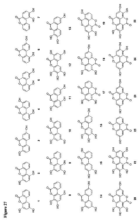 6422163-ウロリチンまたはその前駆体の投与によるオートファジーの増強または寿命の延長 図000130