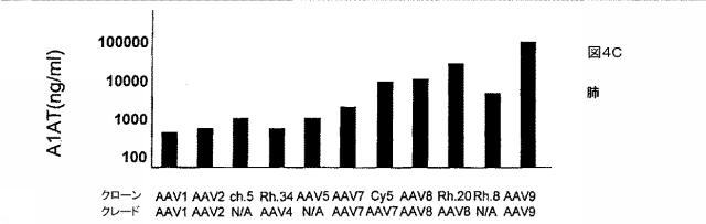 5797397-アデノ随伴ウイルス（ＡＡＶ）の同源系統群（クレイド）、配列、それらを含有するベクターおよびそれらの用途 図000131