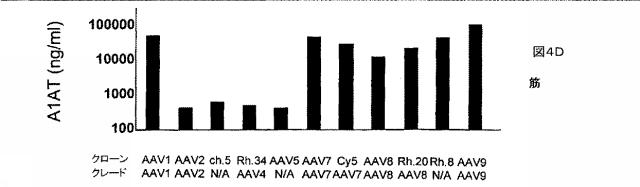 5797397-アデノ随伴ウイルス（ＡＡＶ）の同源系統群（クレイド）、配列、それらを含有するベクターおよびそれらの用途 図000132