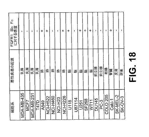 6110091-ＦＧＦＲ融合タンパク質によって疾患を治療するための組成物および方法 図000135