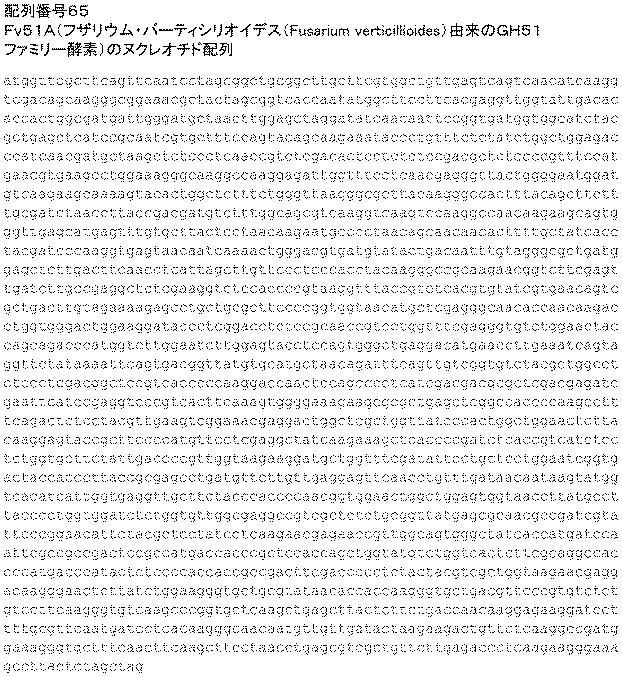 6290626-糖化プロセスにおける粘度を低下させる方法 図000135