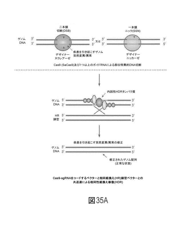 6793699 | 知財ポータル「IP Force」