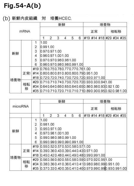 6954682-ヒト機能性角膜内皮細胞およびその応用 図000143