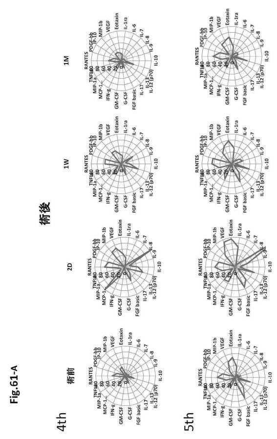 6954682-ヒト機能性角膜内皮細胞およびその応用 図000158