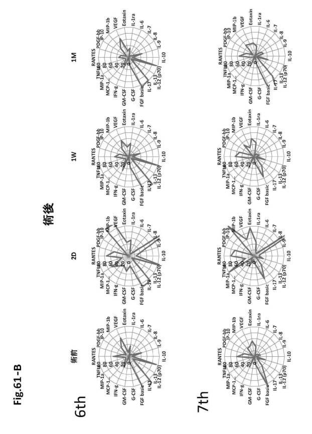 6954682-ヒト機能性角膜内皮細胞およびその応用 図000159