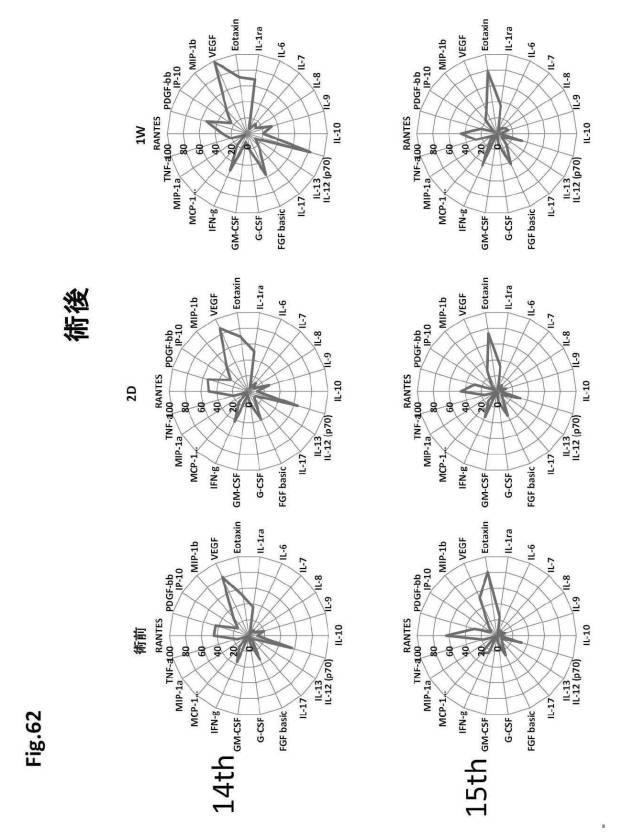 6954682-ヒト機能性角膜内皮細胞およびその応用 図000160