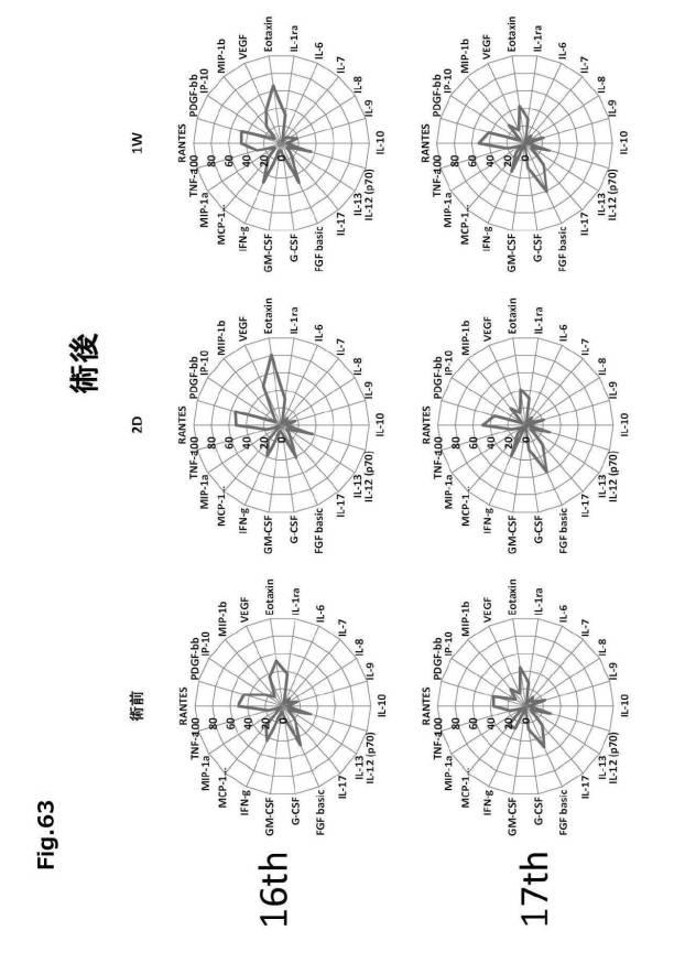 6954682-ヒト機能性角膜内皮細胞およびその応用 図000161