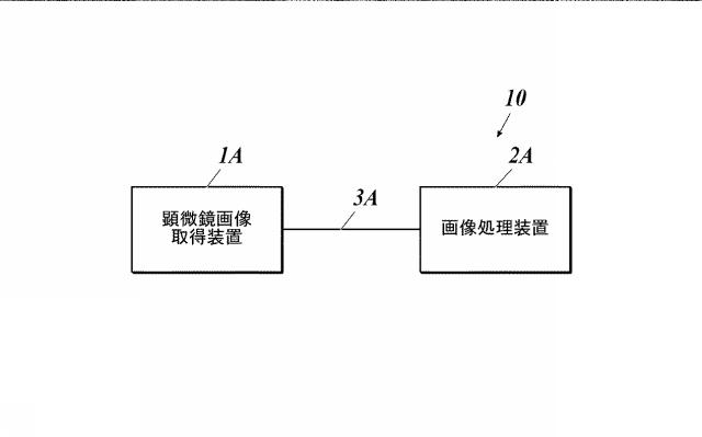 WO2017150194-画像処理装置、画像処理方法及びプログラム 図000003