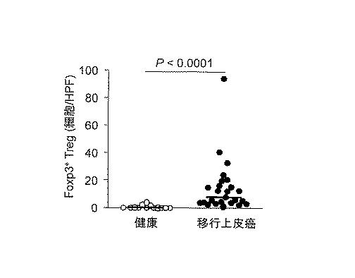 WO2018211936-ＣＣＲ４阻害による制御性Ｔ細胞浸潤抑制法およびイヌの腫瘍性疾患の治療法 図000003