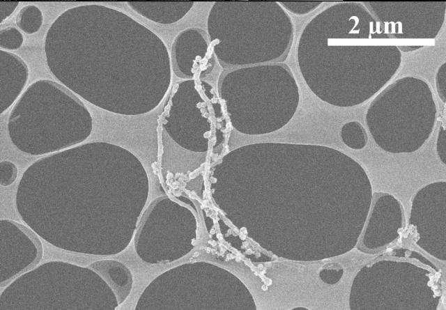 WO2019116893-繊維状のカーボンナノホーン集合体の短尺化方法及び短尺化された繊維状のカーボンナノホーン集合体 図000003