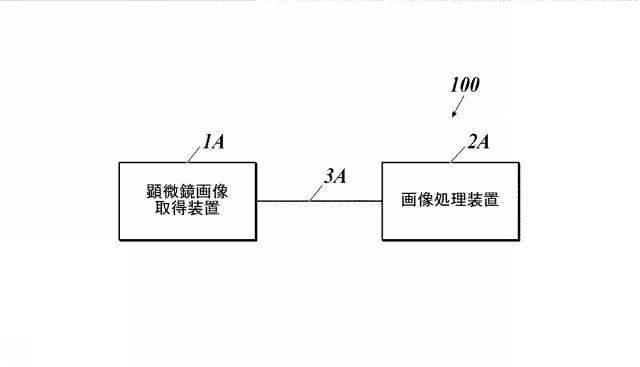 WO2018143406-画像処理装置及びプログラム 図000004