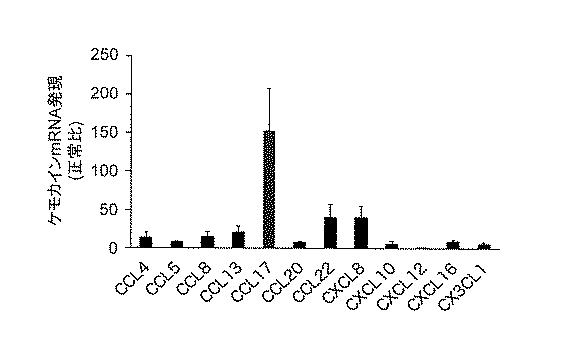 WO2018211936-ＣＣＲ４阻害による制御性Ｔ細胞浸潤抑制法およびイヌの腫瘍性疾患の治療法 図000005