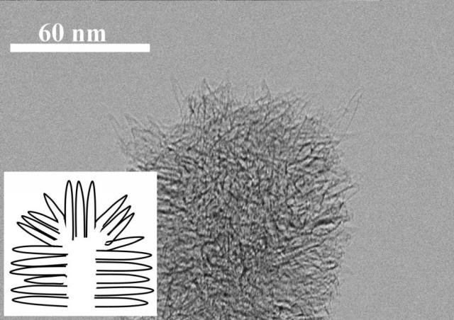 WO2019116893-繊維状のカーボンナノホーン集合体の短尺化方法及び短尺化された繊維状のカーボンナノホーン集合体 図000005