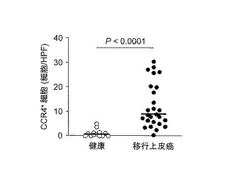 WO2018211936-ＣＣＲ４阻害による制御性Ｔ細胞浸潤抑制法およびイヌの腫瘍性疾患の治療法 図000007