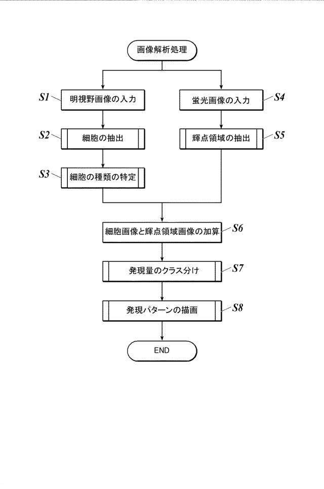 WO2018143406-画像処理装置及びプログラム 図000008