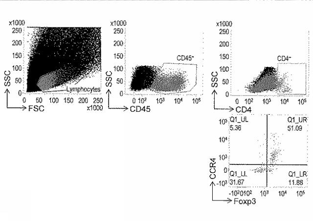 WO2018211936-ＣＣＲ４阻害による制御性Ｔ細胞浸潤抑制法およびイヌの腫瘍性疾患の治療法 図000008