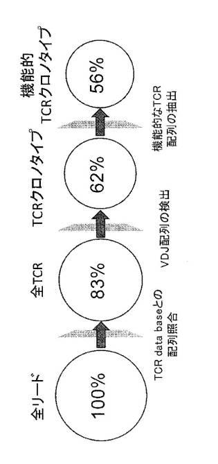 WO2019189383-腫瘍浸潤Ｔ細胞受容体レパトアの解析方法および該解析方法を用いたがん治療処置の有効性の判定方法 図000008