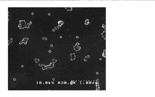 WO2018020877-微細粒子の分散固定方法 図000009